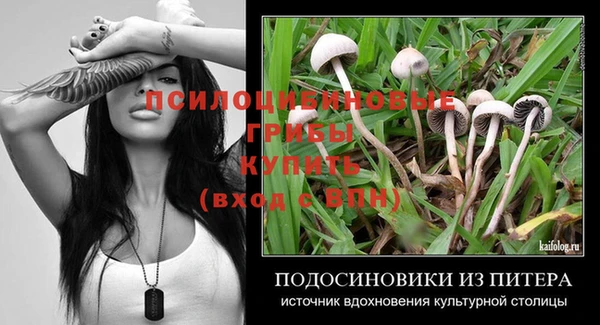 стафф Киренск